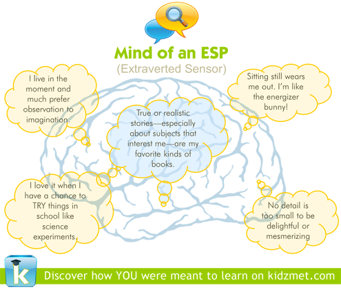 extraverted sensing personality type ESP ESFP ESTP